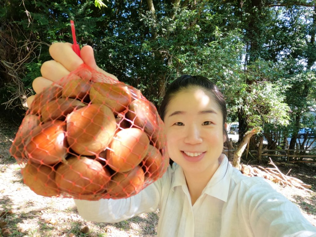 大阪を代表する栗の産地「能勢 」に行ってきました！