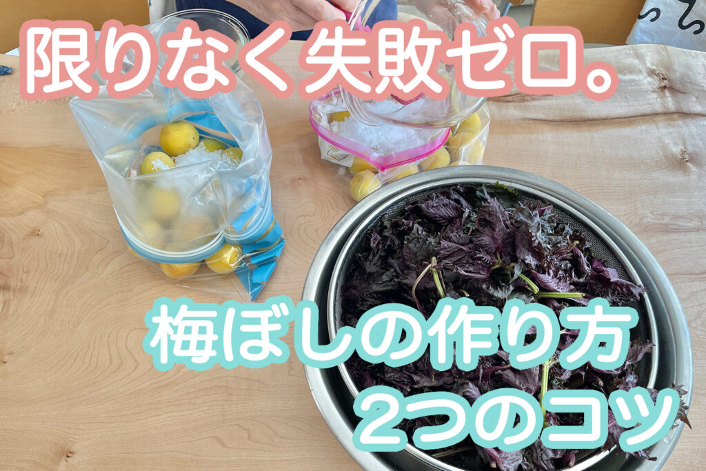 もう失敗しない！梅ぼしを作る2つのコツ